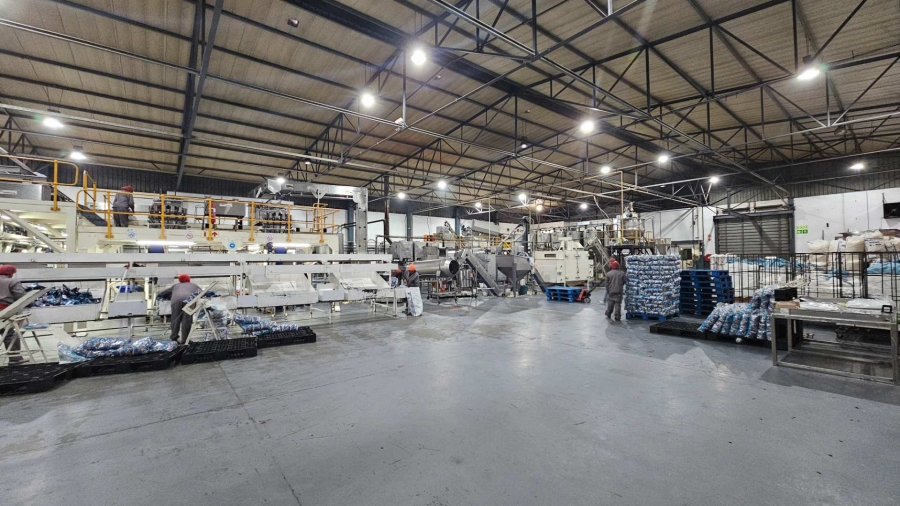 Commercial Property for Sale in Epping Industrial Western Cape